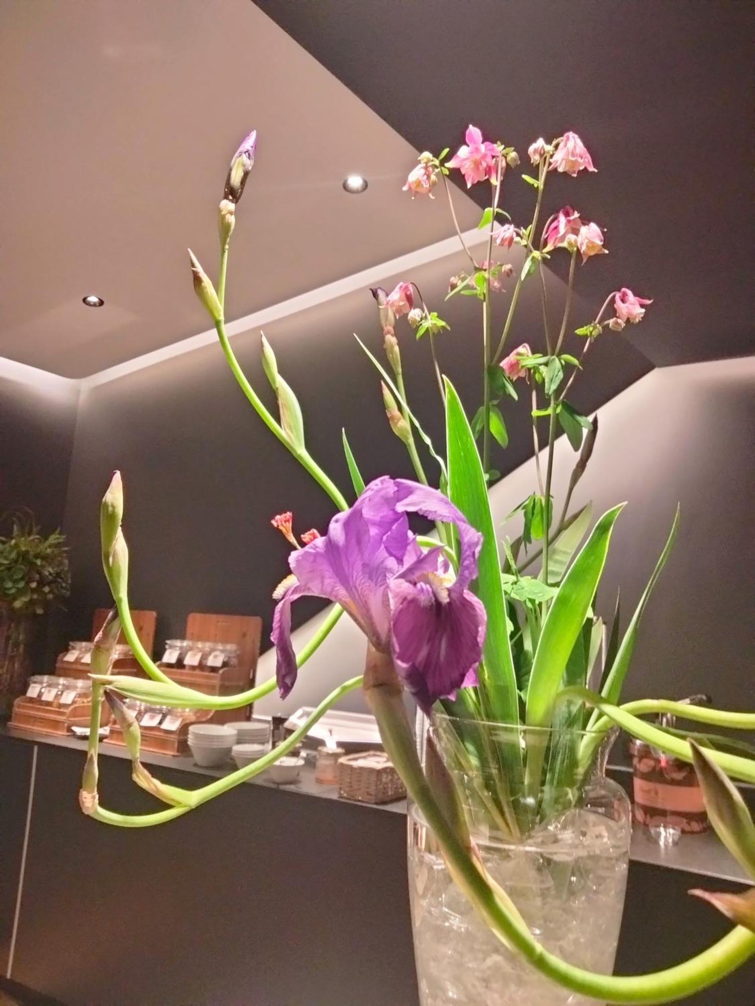 Hotel Ristorante Al Caminetto Worldhotels Crafted Adults Only 托里德尔贝纳科 外观 照片